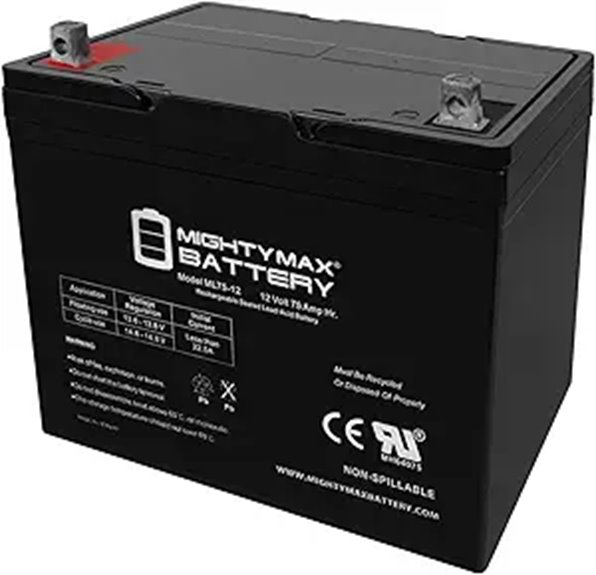 Mighty Max Battery 12V 75Ah SLA Battery for Wayne ESP25 Back-Up Pump