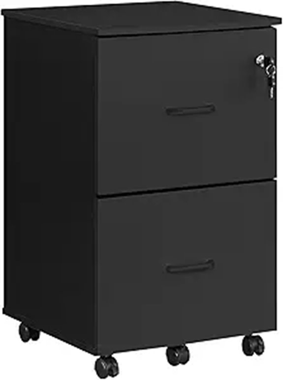 VASAGLE 2-Drawer Locking File Cabinet Black