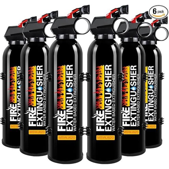Home & Vehicle Fire Extinguisher with Mount