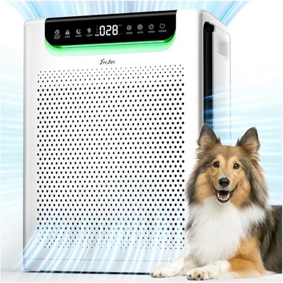 Large Room Air Purifier with Washable Filters