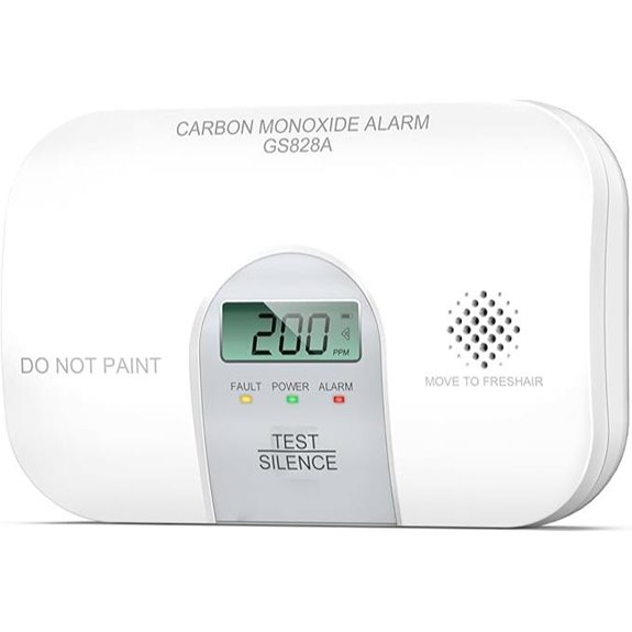 Siterwell 10-Year Carbon Monoxide Detector with LCD