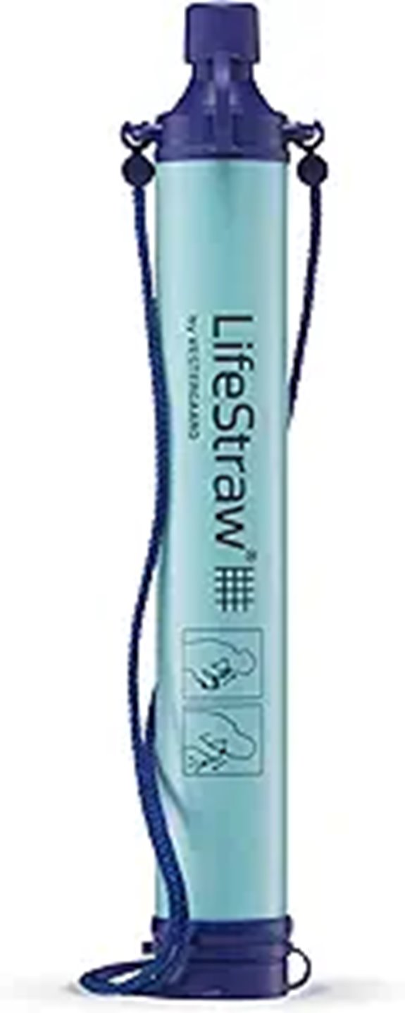 LifeStraw Personal Water Filter for Travel and Camping