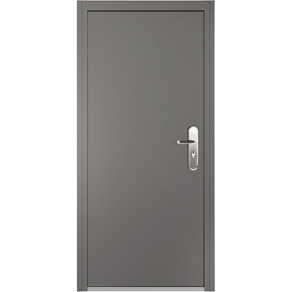 VIZ-PRO Steel Security Door with Frame and Hardware