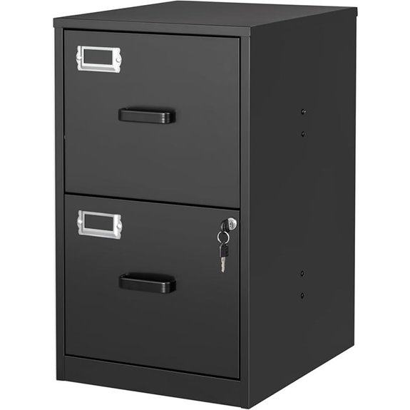 2-Drawer Locking File Cabinet for Office or Home