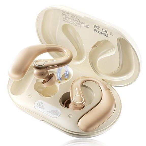 Rechargeable Bluetooth Hearing Aids with Noise Cancellation