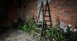 ignoring potential risks proactively