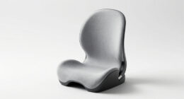 10 Best High Back Booster Seat in 2026