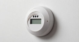7 Best Smoke and Carbon Monoxide Detector Combo in 2026