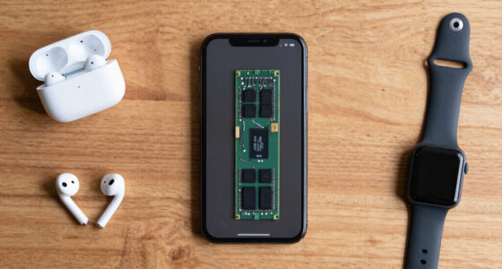 Apple Is Reaching for Chinese Memory. Europe Doesn’t Even Have That Option.