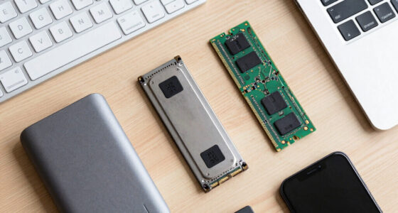 Build, Rent, Or Quantize: Cutting Your Memory Bill Without Cutting Capability