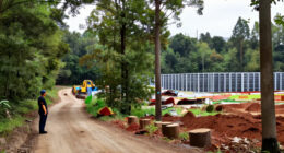 Google Is Illegaly Cutting Forest To Build Data Centers