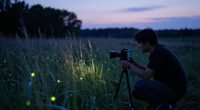 Making A Film About Fireflies: The “Luciole” Story